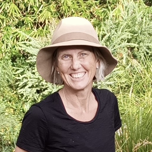 Risky Play in an Urban Park Holiday Program | Play Australia