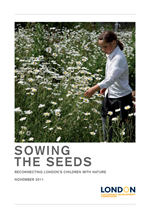 Sowing the Seeds Sowing the Seeds