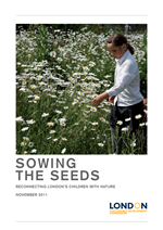 Sowing the Seeds