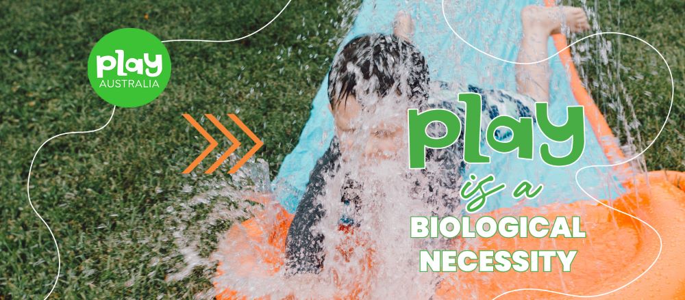 Play is a biological necessity