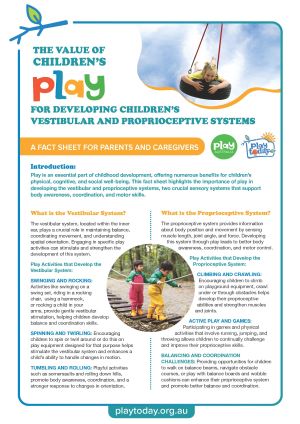 Value of Play Fact Sheet – Developing the vestibular and proprioceptive systems